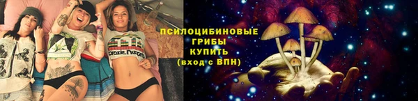 spice Майский