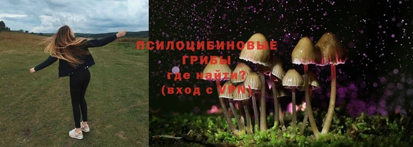 крисы Магадан