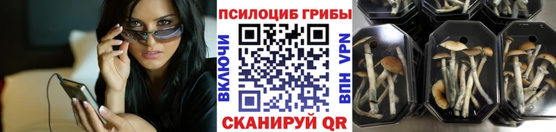 Псилоцибиновые грибы Magic Shrooms Евпатория