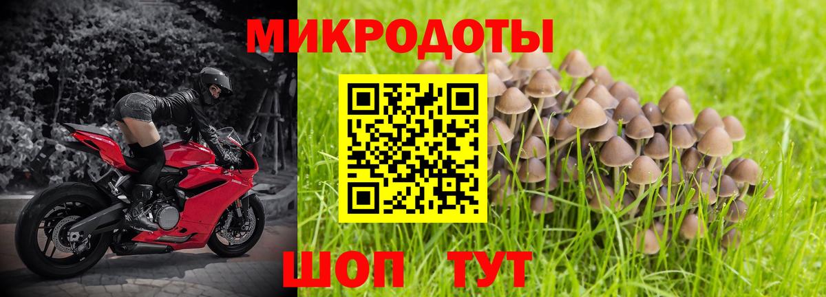 Галлюциногенные грибы ЛСД Евпатория