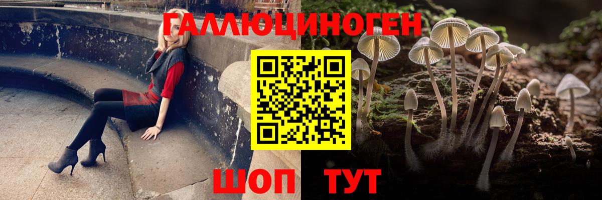 Галлюциногенные грибы Cubensis  Вход с VPN  где купить наркоту  Галлюциногенные грибы Psilocybine cubensis  Евпатория 
